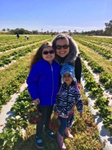 Strawberry picking with kids Touring the Redland with Kids: A Family Favorite Activity 