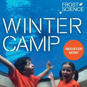 Frost Winter Camp Miami Moms Blog Guide to Holiday Activities