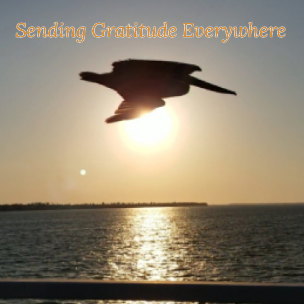 Sending Gratitude Everywhere Marielena Aguilar Gratitude Alphabet: Expressing Thanksgiving From A to Z Miami Moms Blog