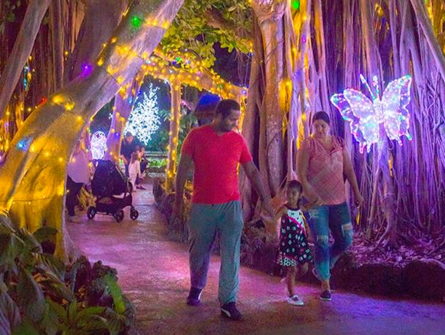Pinecrest Gardens Nights of Lights: A Tropical Holiday Wonderland Kathy Safi Contributor Miami Moms Blog