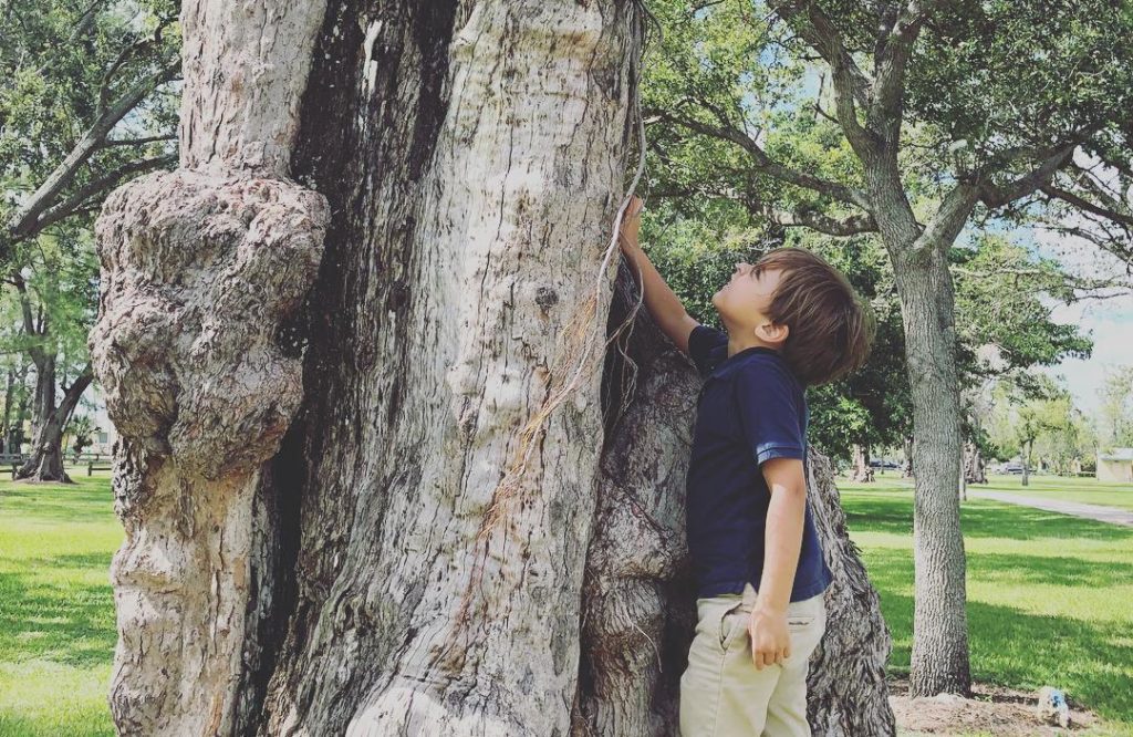 Earth Day: 10 Fun Activities You Can Do With Your Kids Lissette Fernandez Contributor Miami Moms Blog