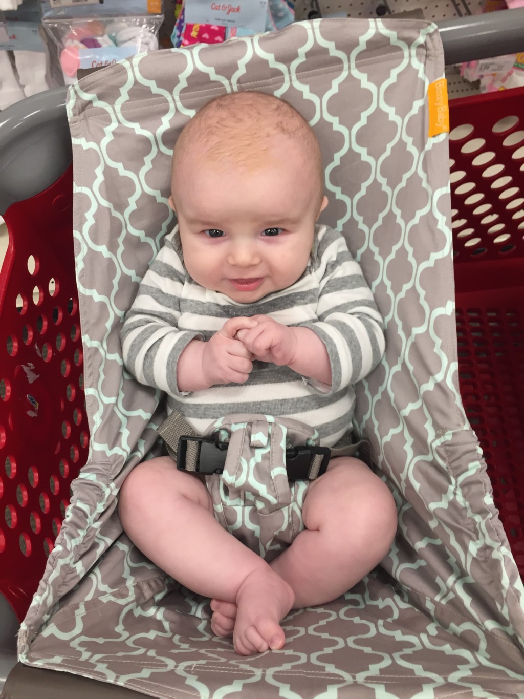 The Solution to Shopping with Babies 