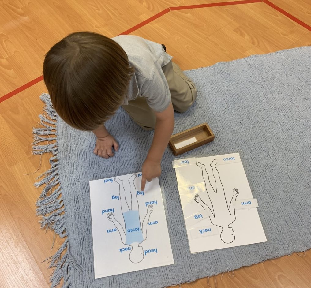Montessori Children's House: Instilling a Love of Learning in Every Child Lynda Lantz Contributor Miami Moms Blog