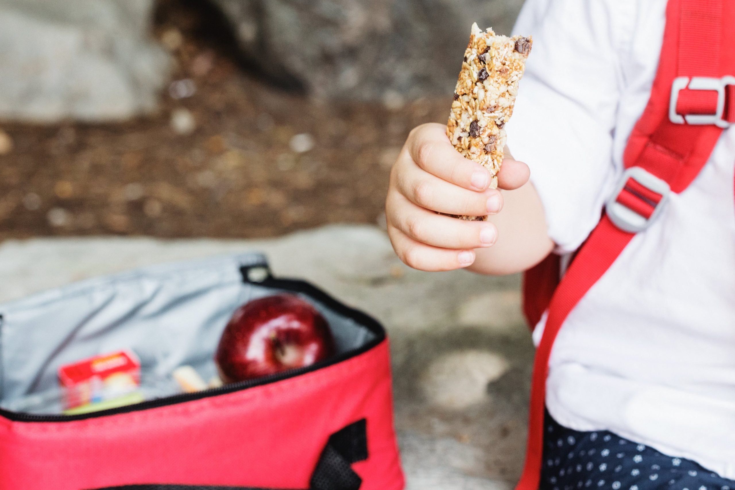 school-lunch-and-granola-snack Back-to-School: Tips for Keeping Your Allergy Kid Safe Gabriela Morales Contributor Miami Moms Blog