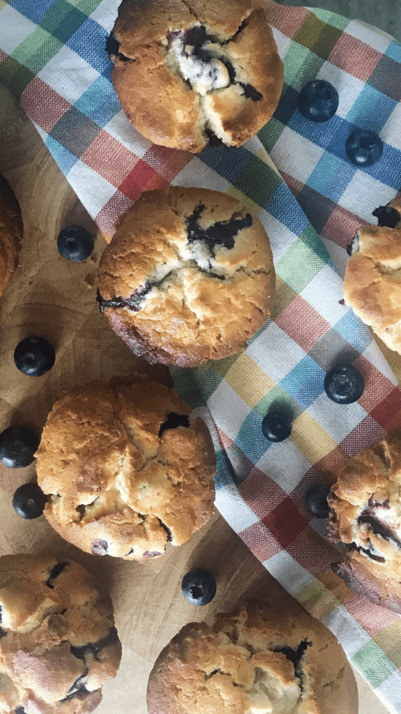 blueberry muffins blueberry muffins Best Foods to Eat When Preparing to Breastfeed Whitney Khan Contributor Miami Moms Blog