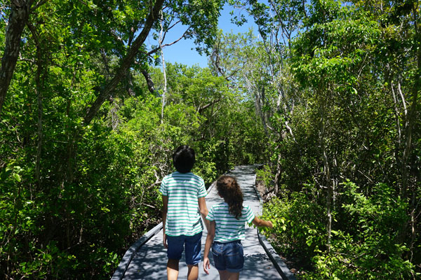 From Miami to Captiva Island {Road Trip Series} Macy Calderon Contributor Miami Mom Collective
