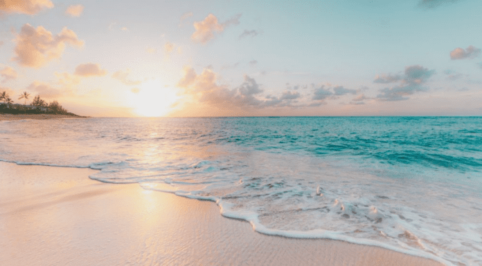 Cocoa Beach: The Perfect Family Vacation Destination {Road Trip Series} Illiett Ojeda Contributor Miami Mom Collective