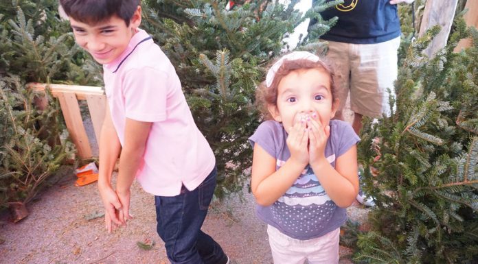 girl excited picking christmas tree