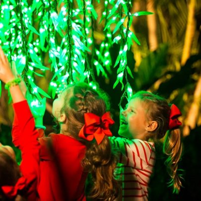 Pinecrest Gardens The Ultimate Guide to 2020 Holiday Events and Activities in Miami Lynda Lantz Contributor Miami Mom Collective