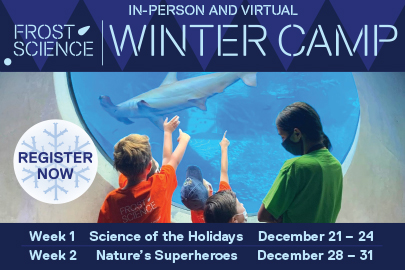 Phillip and Patricia Frost Museum of Science Winter Camp The Ultimate Guide to 2020 Holiday Events and Activities in Miami Lynda Lantz Contributor Miami Mom Collective
