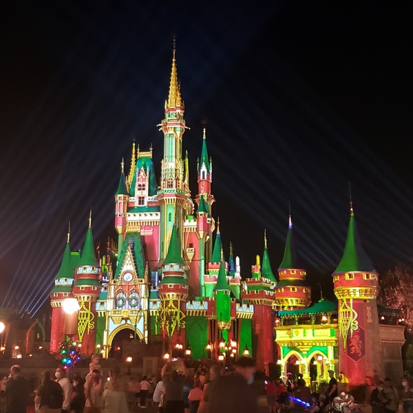 The Holidays at Walt Disney World: They're Alive, Even During COVID! Sandra Jacquemin Contributor Miami Mom Collective