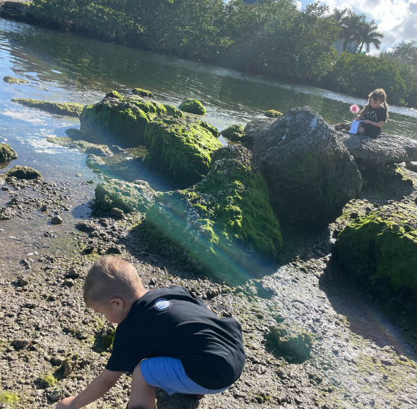 Playing on the rocks (Dianna Hill Contributor Miami Mom Collective)