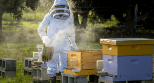 Kristina in her beekeeper suit, tending to her bees (Beekeeping: How the Bees Found Me Kristina Fiorentino Contributor Miami Mom Collective)