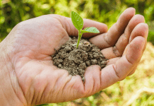 A handful of soil (Earth Day: 5 Meaningful Ways to Celebrate! Ana-Sofia DuLaney Contributor Miami Mom Collective)