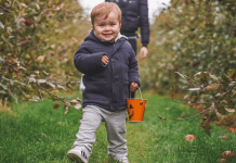 Image: a little boy walks in front of his mother towards the camera in an apple orchard. He is smiling, carrying a bucket, and wearing a jacket, sweatpants, and Adidas sneakers. (Toddler Shoes: What to Look for Brittany Aquart Contributor Miami Mom Collective)