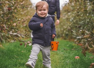 Image: a little boy walks in front of his mother towards the camera in an apple orchard. He is smiling, carrying a bucket, and wearing a jacket, sweatpants, and Adidas sneakers. (Toddler Shoes: What to Look for Brittany Aquart Contributor Miami Mom Collective)