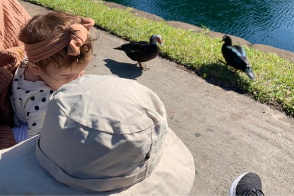Watching the ducks at the lake (Jacqueline Jebian Garcia Contributor Miami Mom Collective)