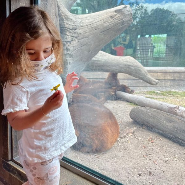 A toddler wearing a mask at the zoo (Alexa Gonzalez Contributor Miami Mom Collective)