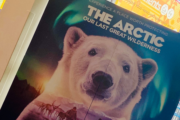 Now Showing at MODS! The Arctic: Our Last Greatest Wilderness