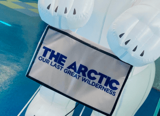 Now Showing at MODS! The Arctic: Our Last Greatest Wilderness
