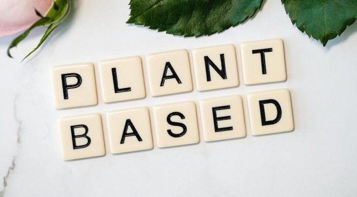 Image: Letter tiles that spell "Plant Based" (Going Vegan: It's Not As Difficult As You Think Sandra Jacquemin Contributor Miami Mom Collective)