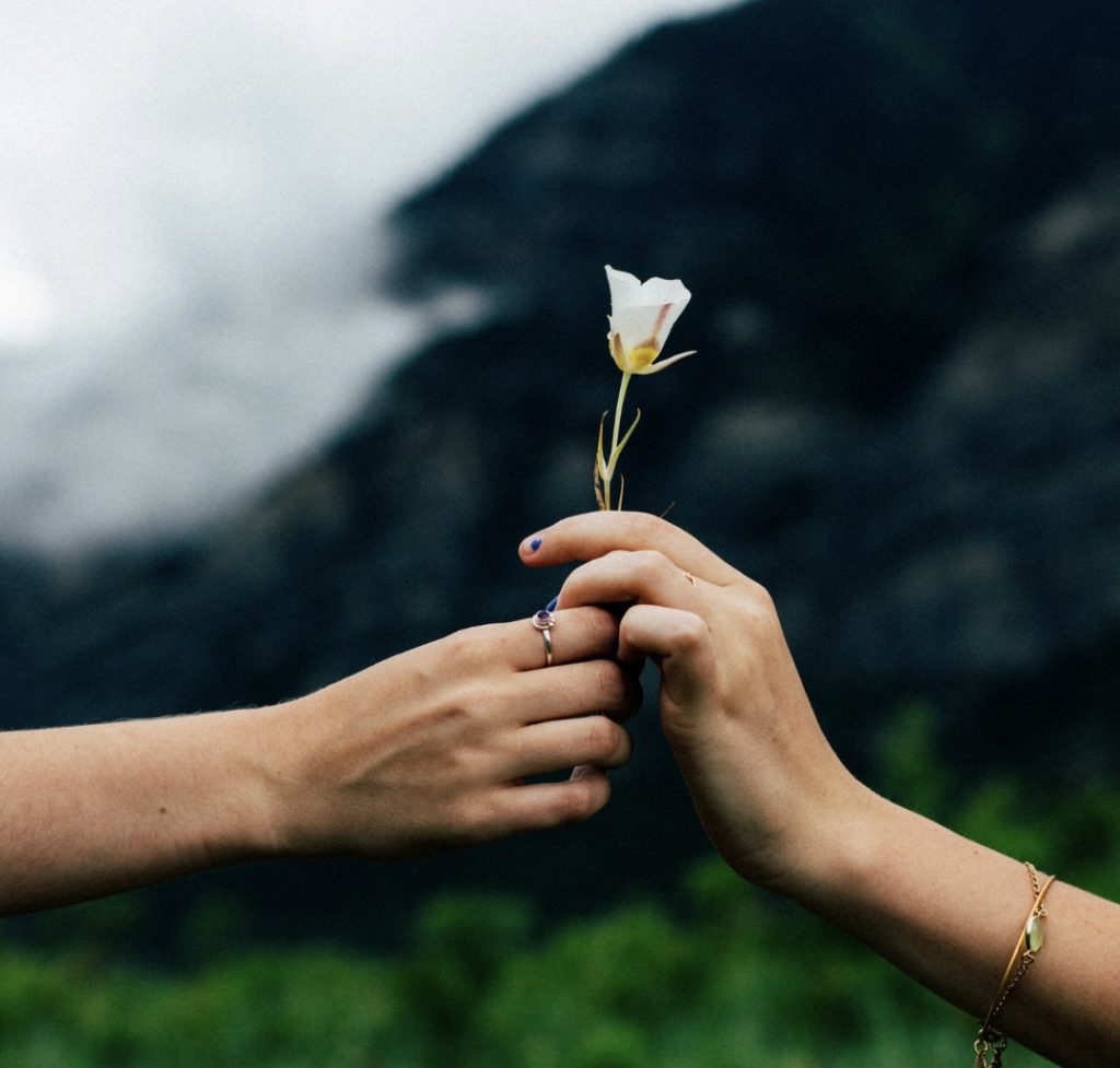 Image: Two hands holding a flower (Giving Tuesday 2021: A Global Effort to Bring the World Together Sharonda Stewart Contributor Miami Mom Collective)