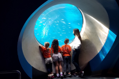 Image: A group of children participating in Winter Camp at Frost Science (The Ultimate Guide to 2021 Miami Area Holiday Events & Activities Lynda Lantz Contributor Miami Mom Collective)