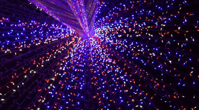Image: Bright, multicolored Christmas lights (Christmas Lights Displays: A List of the Must-See Places in Miami Vanessa Santamaria Contributor Miami Mom Collective)