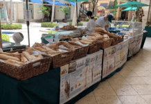 Merrick Park hosts one of Miami's best local farmers' markets