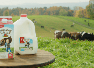 A carton and gallon jug of Organic Valley milk, with a pasture of cows in the background