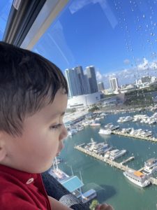 Bella's son looks out over the city from Skyview Miami