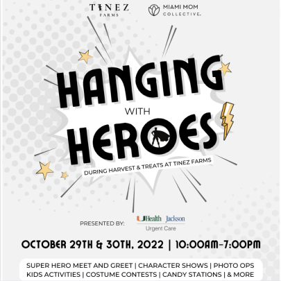 Hanging With Heroes Event Infographic