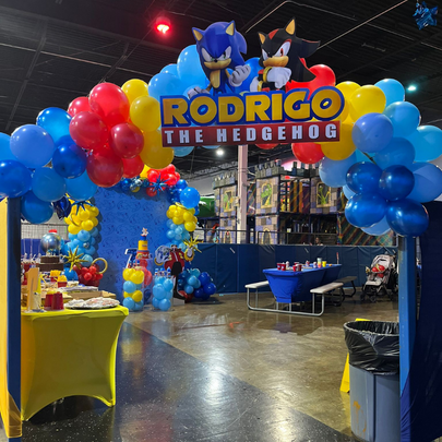 A Sonic the Hedgehog theme birthday party at Dezerland Park