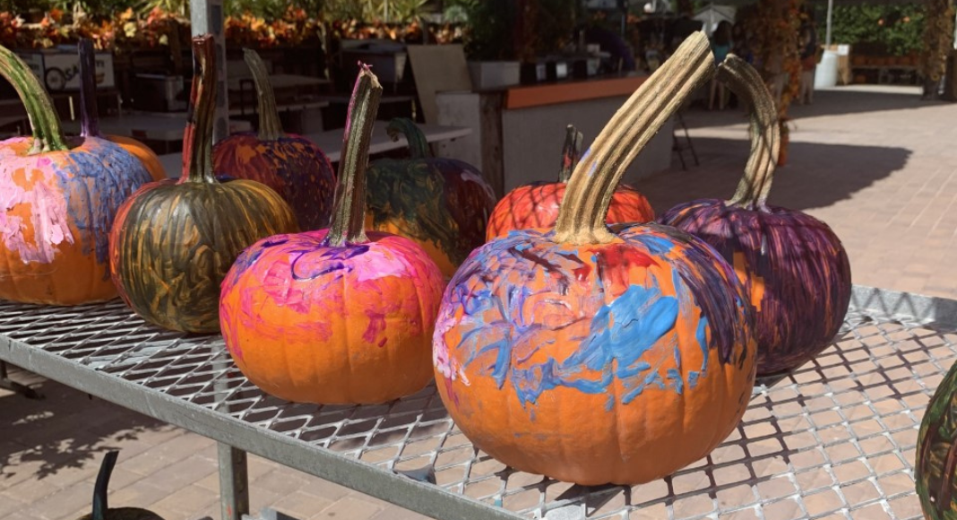 A bunch of painted pumpkins for fall.