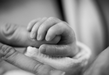 A premature infant holds onto a parent's finger