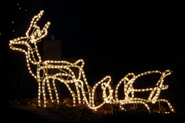 Image: A outdoor light display of a reindeer pulling a sleigh