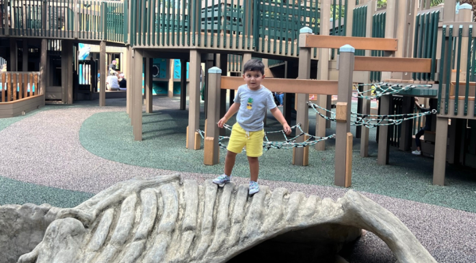 Image: A child enjoying the playground at Sugar Sand Park