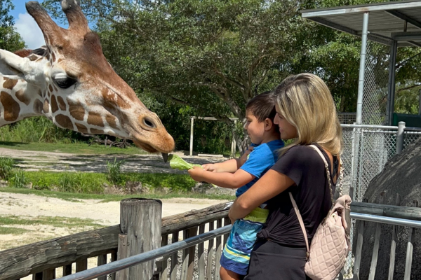 Image: A mother and son at a giraffe feeding at Zoo Miami