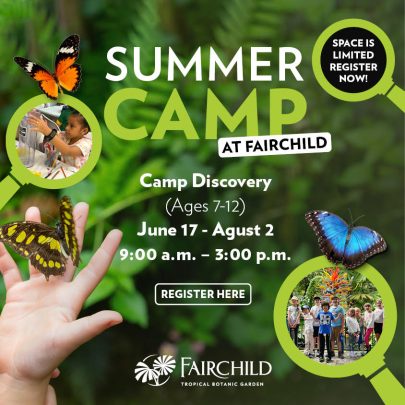 Image: Summer Camp at Fairchild Tropical Botanic Garden Infographic