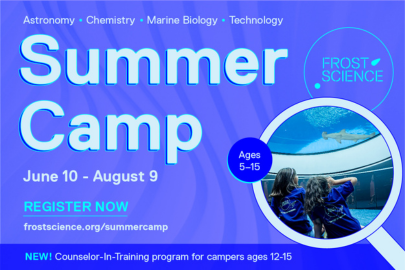 Image: Infographic for Summer Camp at Frost Science