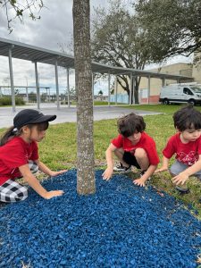 Image: Three young children help mulch a tree at a local school