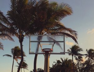 Image: An outdoor basketball hoop with palm trees in the background