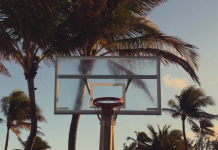 Image: An outdoor basketball hoop with palms trees in the background