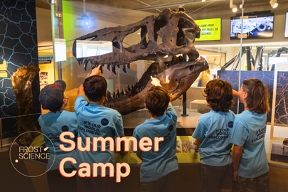 Image: Children participating in Summer Camp at Frost Science